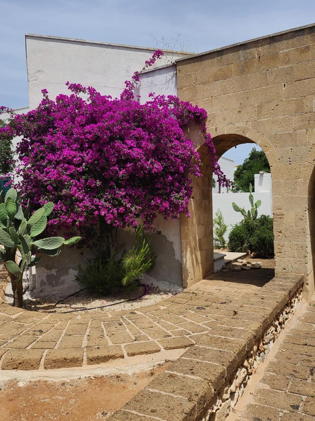 Hotel Solemare 3*