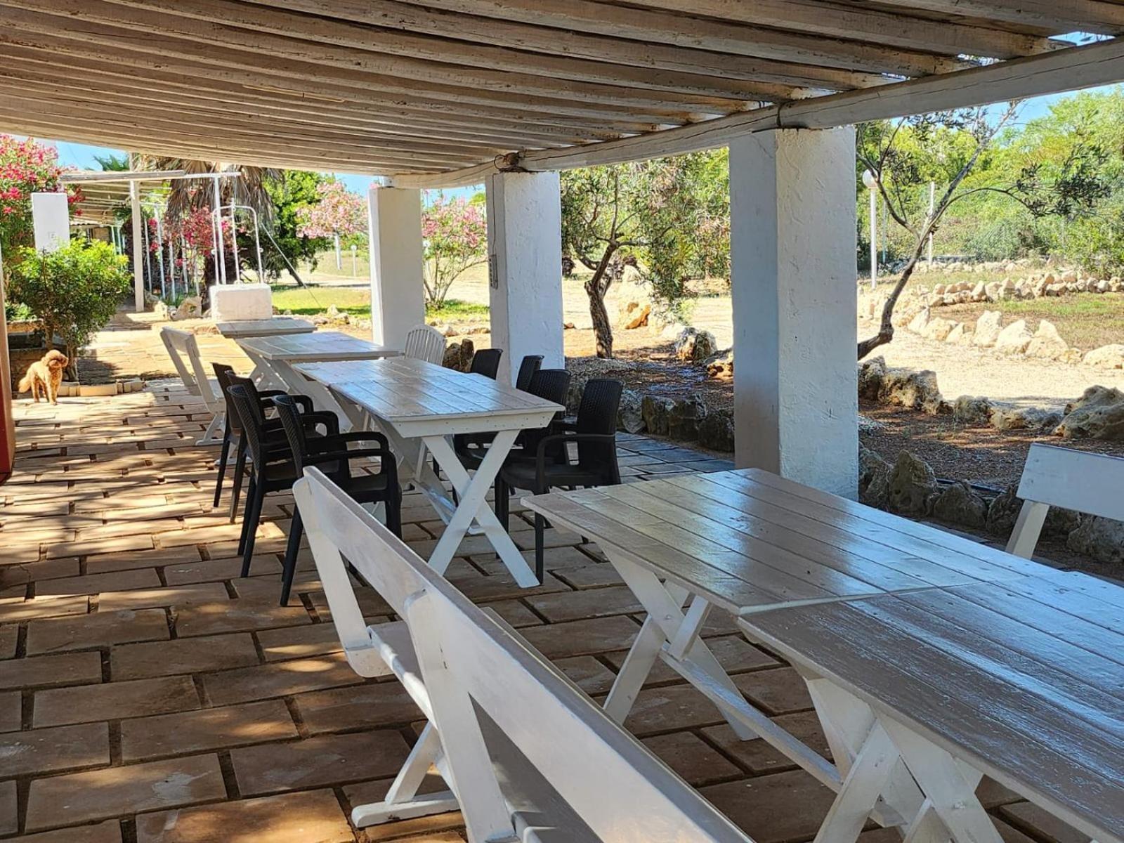 Solemare 3*