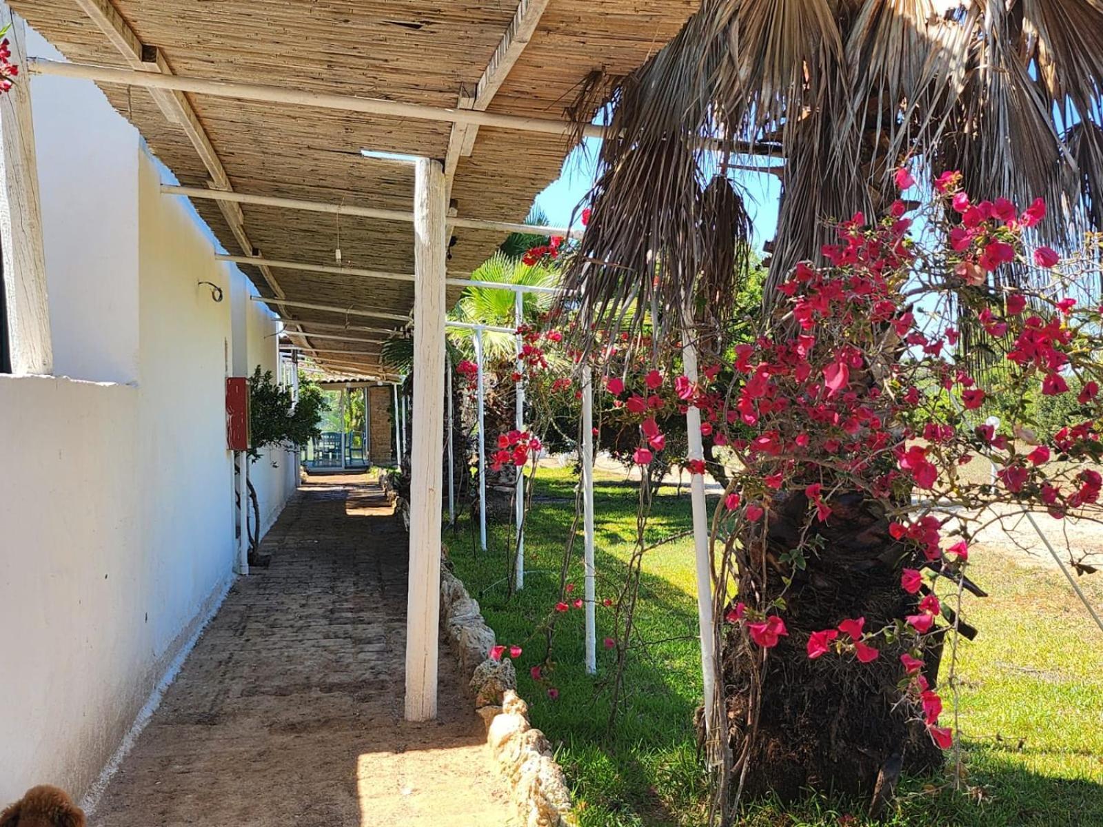 Hotel Solemare