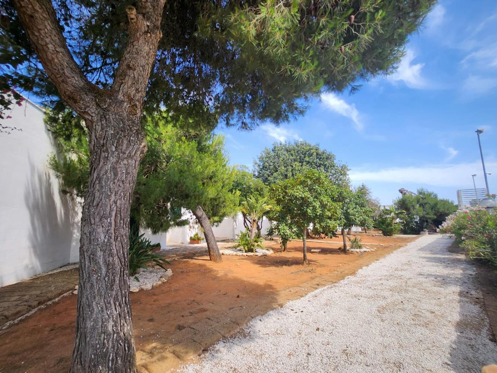 Solemare 3* Gallipoli